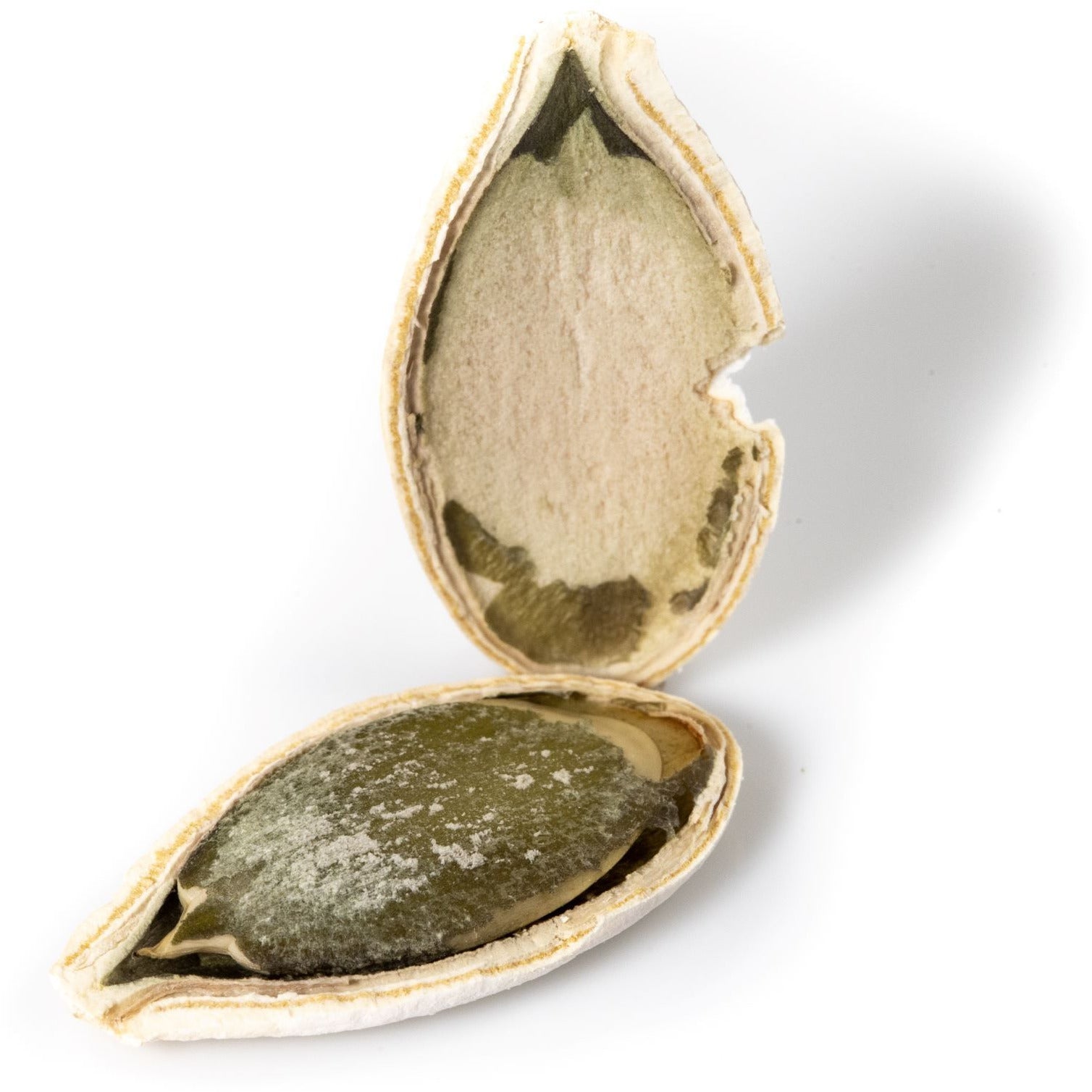 Roasted Pumpkin Seeds (Salted)